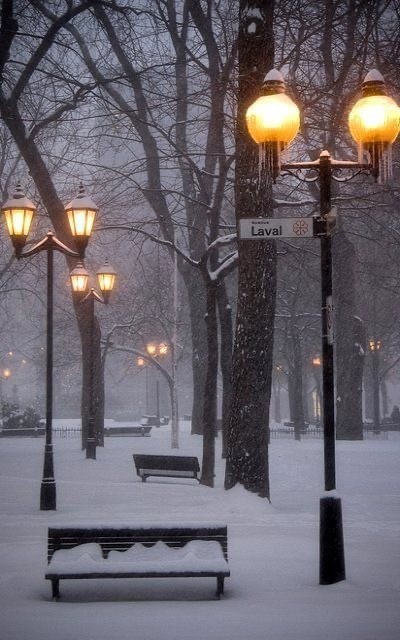 테 스 트 0 3 1 옵 션 의 류 모 자